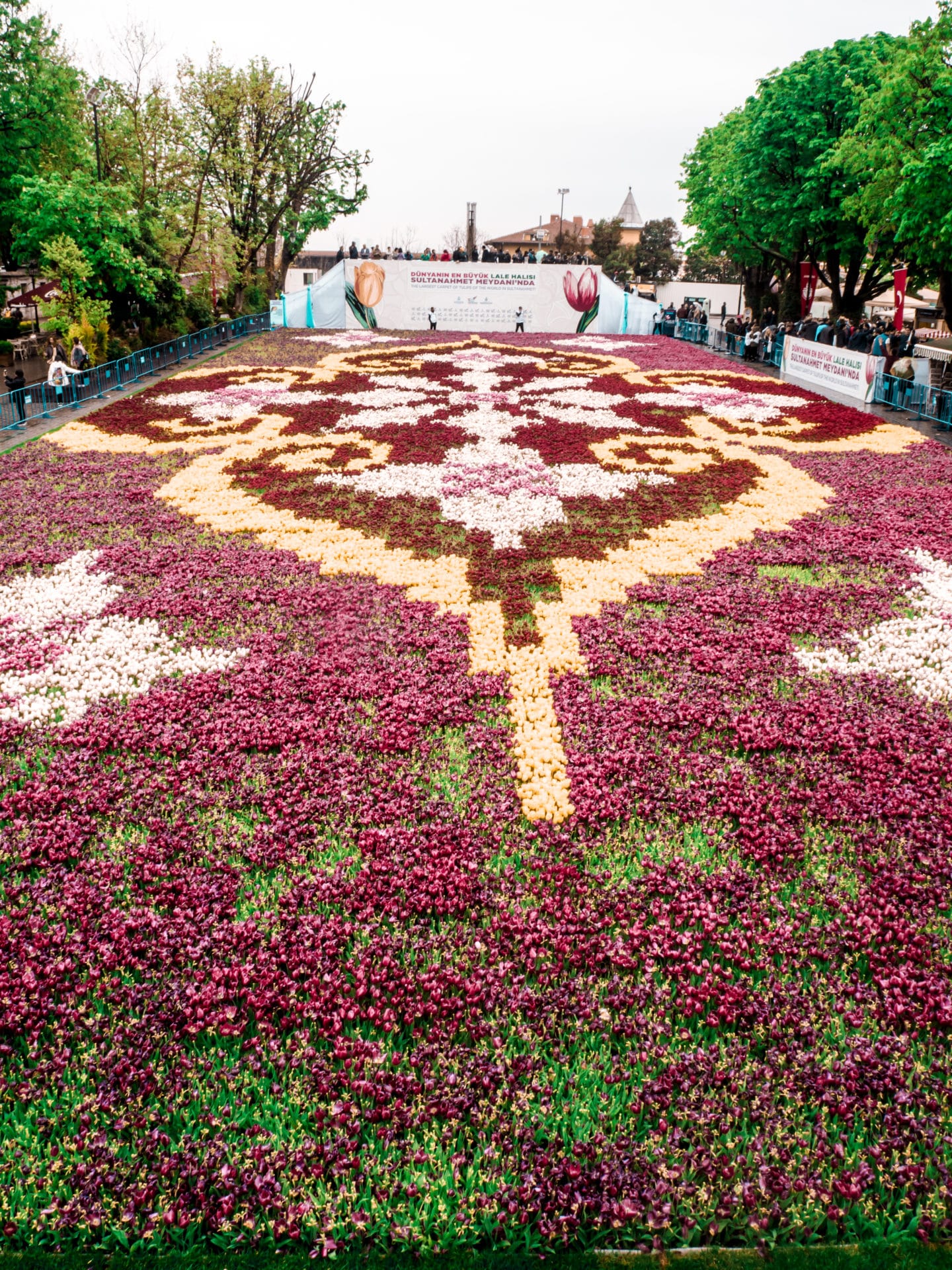 Blumenmeer Istanbul Hagia Sophia